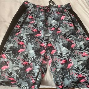 Flamingo shorts